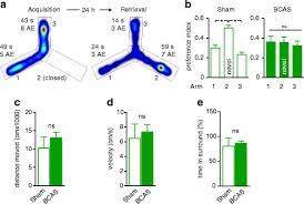 The member of the house needs to start to seek reelection within those two years. Chronic Hypoperfusion Induces A Decline In Spatial Long Term Memory A Download Scientific Diagram