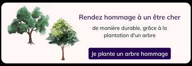 Cercueil en carton : tout ce qu'il faut savoir avant de le choisir !