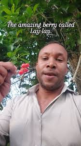 Trinidad wild berry Laylay, one of my childhood favorites.