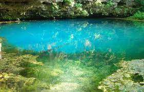 Blue spring is a designated manatee refuge. Blue Springs Shepherd Mountain Inn And Suites