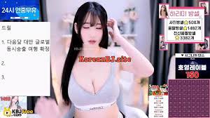 Performerhl6260s Recorded Cam show - Korean BJ