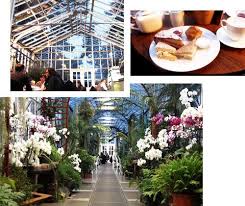 2 kundenbewertungen, preise, kontaktdaten und öffnungszeiten von firmen aus stahnsdorf mit dem stichwort garten. Das Cafe In Der Gartenakademie Kaffeetrinken Im Glashaus Glashaus Cafe Kaffee Trinken
