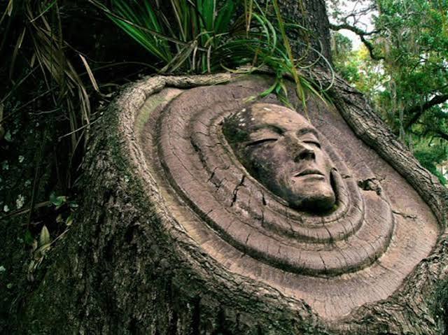 Tree Spirits | Inhabitat - Green Design, Innovation, Architecture, Green Building