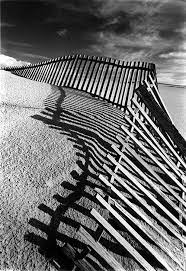 Pin By Jana Erikson On Life Style Shadow Photography White Photography Black And White Photographs