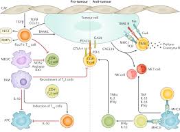Surgery for inflammatory breast cancer usually involves complete removal of the breast ( mastectomy ) and removal of lymph nodes from the armpit. Breast Cancer Nature Reviews Disease Primers