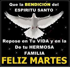 En nombre de @dios_padre del @j3sucrist0 y del @espiritu_santo amen. Que La Bendicion Del Espiritu Santo Repose En Tu Vida Y En La De Tu Hermosa Familia Feliz Martes Meme On Me Me