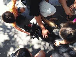 Friends of Rialto K9