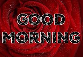 See more ideas about good morning, morning, morning blessings. Best 66 Good Morning Gif Images Wishes Quotes