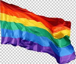 Images and media related to the lgbt (lesbian, gay, bisexual, transgender) pride flag and variations. Pin On F
