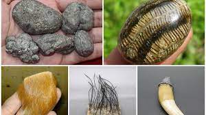 Tali pocong , taring raja babi hutan , jimat kumis macan , besi kursani , kulit kerbau landoh , dan batu lipan. 5 Jenis Jimat Ini Paling Dicari Di Indonesia Nomor 3 Paling Disukai Pria Manfaatnya Toh Sriwijaya Post