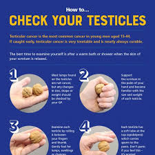 Blood tests, surgery, and other imaging tests like a ct scan or mri can also be used to diagnose testicular cancer or determine if your cancer has spread. A9wo V1n8onnxm