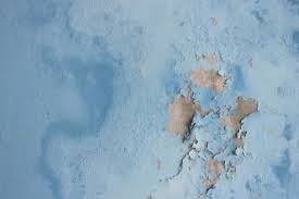 Different Types Of Damp And How To Treat Them Dave S Diy Tips