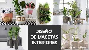 ¿estás cansada/o de que se te mueran. Decoracion Con Plantas De Interior Consejos Para Elegir El Diseno Ideal
