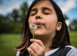 Photos: The Journal's best images from June 2020