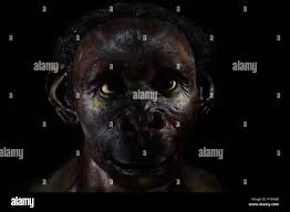 Neanderthal man face isolated on black Stock Photo - Alamy