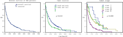 Check spelling or type a new query. Prognostic Factors In Patients With Pancreatic Cancer