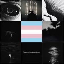 Aesthetic Black And White Color Palette Trans Boy Moodboard With Themes Of Demons And Satanism With A Dark Color Scheme For Anon Trans Boys Dark Aesthetic Cute Girl Photo