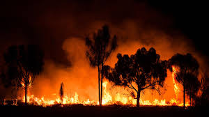When A Natural Disaster Hits Know When To Talk Business And When Not To In 2020 Natural Disasters Wild Fire Australia