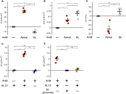 Bravo 500 sc este un fungicid de contact cu spectru larg de combatere a bolilor. Amphotericin B Induces Epithelial Voltage Responses In People With Cystic Fibrosis Journal Of Cystic Fibrosis