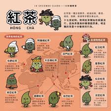 插畫 紅茶與它們的產地 你喝過幾個 品種 the news lens 關鍵評論網 flower tea healthy drinks food illustrations