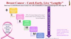 Image result for Breast Cancer Staging