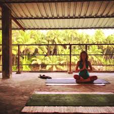 Maybe you would like to learn more about one of these? Pin By Rachel Gitlevich On Favorite India Trip Photos Goa India Goa Yoga Retreat