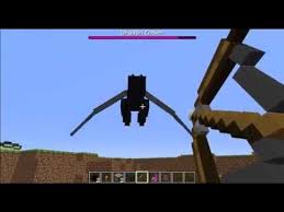 Ender dragon can only be found by spawning it yourself with a spawner egg and once you've tamed . Ender Dragon En El Mundo Real Sin Mods En Minecraft Youtube