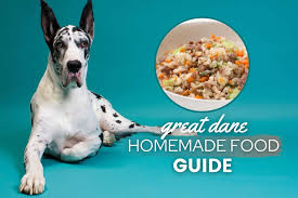 We did not find results for: Great Dane Homemade Dog Food Guide Recipes Nutrition Advice Canine Bible