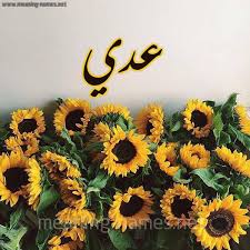 اسم عدي يحمل العديد من المعاني المميزة التي تدل على الشجاعة والقوة والانتصار على العدو، لذا يمكن أن يتم التسمية للمسلمين حيث أنه لا يحمل أي من المعاني البذيئة التي تتعلق بالديانات أو الإساءة للقرآن الكريم أو السنة. ØµÙˆØ± Ø§Ø³Ù… Ø¹Ø¯ÙŠ Ù‚Ø§Ù…ÙˆØ³ Ø§Ù„Ø£Ø³Ù…Ø§Ø¡ Ùˆ Ø§Ù„Ù…Ø¹Ø§Ù†ÙŠ