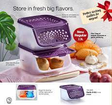 Tupperware 2 3l Garlic N All Keeper 2 Pieces Lazada Singapore