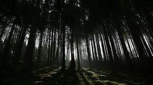 ❤ get the best hd dark wallpapers on wallpaperset. 59 4k Dark Wallpapers On Wallpaperplay à¸­à¸²à¸§ à¸˜