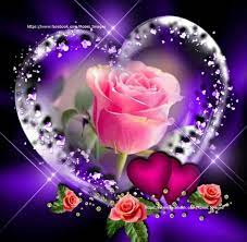 Pin On Rosas Para Rosario