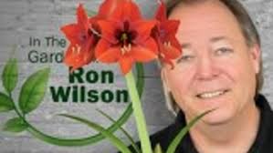 Ron Wilson