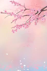 Pink Romantic Cherry Blossom Petals Background In 2020 Pink Wallpaper Backgrounds Cherry Blossom Wallpaper Cherry Blossom Petals