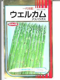 アスパラガス サカタ交配 ウェルカム サカタのタネのアスパラガス品種です Green Depo グリーンデポ