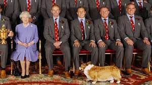 Pembroke welsh corgi puppies are adorable puppies, we have a few puppies for sale. We Ve Got Your Weekly Dose Of Happy Heartwarming Stories