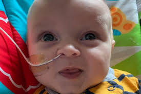 Fundraiser for Dustin Kesner by Amanda Goetz : Help lay Kip to rest.