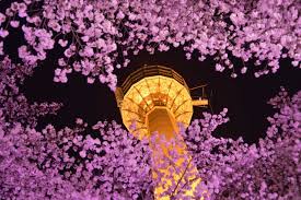 Picture number 200, thank you all for your support. March 1st Movement In South Korea In 2021 Office Holidays