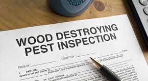 How to report an accident or incident to building and energy. Building And Pest Inspection Logan Same Day Reports From 229