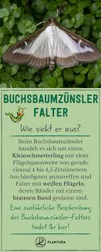 Die verwandtschaft im kleiderschrank und schlafzimmer hat sich auf textilien aus naturfasern spezialisiert: 70 Schon Ungeziefer Im Garten Garten Deko