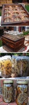 How To Easily Make A Beehive In A Jar Diy Project Bee Hive Backyard Beehive Bee Keeping