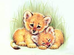 Printable Ruth Morehead Baby Animal Drawings Cute Animal Illustration Big Cats Art