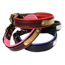 You never know when your dog will get lost and need help from a stranger. Padded Leather Collar With Nameplate Personalized Leather Dog Collar Custom Dog Collars Leather Dog Collars