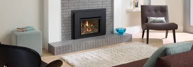 Check spelling or type a new query. L234 Small Gas Fireplace Insert Regency