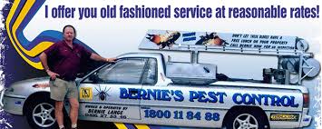 At termite control services gold coast', we're proud to be the region's trusted team of professional termite control experts. Burleigh Waters Pest Control Bernie S Pest Control