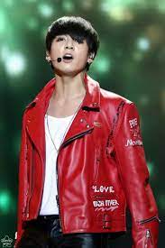 Jungkook Leather Jacket Red Leather Jacket Red Leather