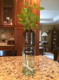 Bouteille De Vin Auto Arrosage Jardiniere Par Winelesscreations Arrosage Automatique Jardinieres Diy Et Bouteille