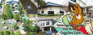 Coastal animal hospital in kitty hawk and buxton remain open and. Coastal Veterinary Hospital And Pet Resort Home Facebook