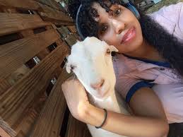 To everyone in the Woodstock area who take your pets to Animal Hospital of  Towne Lake, the owner of that establishment is "Dr" Sherry Weaver. This  woman is a disgusting, knockoff of