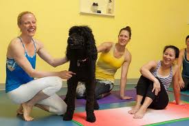 The yoga institute is one of the oldest organised yoga centres in the world. 200hr Yoga Teacher Training In West Seattle At Spira Power Yoga
